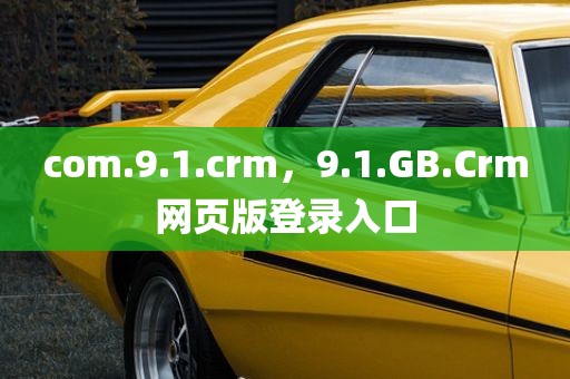 com.9.1.crm，9.1.GB.Crm网页版登录入口