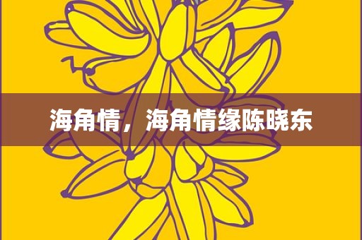 海角情，海角情缘陈晓东