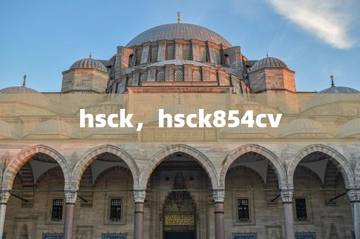 hsck，hsck854cv