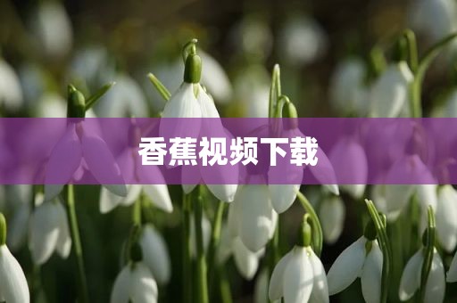 香蕉视频下载