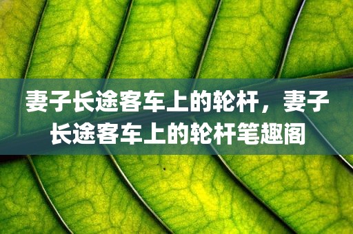 妻子长途客车上的轮杆，妻子长途客车上的轮杆笔趣阁