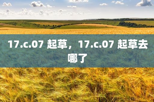 17.c.07 起草，17.c.07 起草去哪了