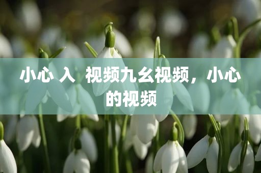 小心 入  视频九幺视频，小心的视频