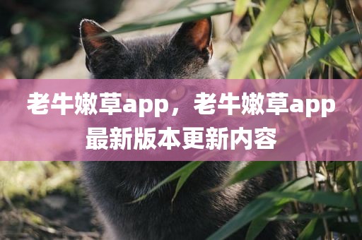 老牛嫩草app，老牛嫩草app最新版本更新内容