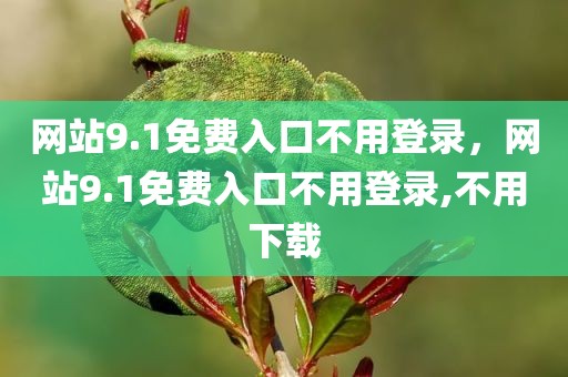 网站9.1免费入口不用登录，网站9.1免费入口不用登录,不用下载