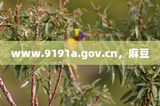 www.9191a.gov.cn，麻豆