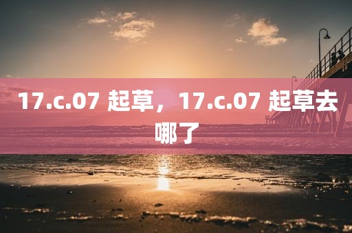 17.c.07 起草，17.c.07 起草去哪了