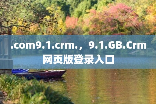 .com9.1.crm.，9.1.GB.Crm网页版登录入口