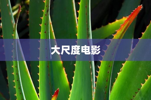 大尺度电影