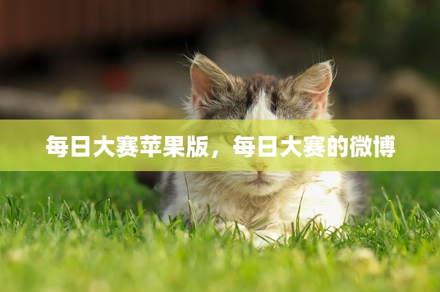 每日大赛苹果版，每日大赛的微博