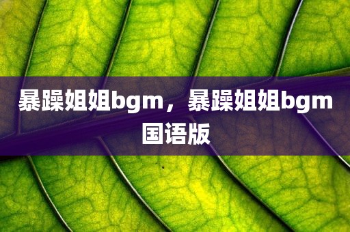 暴躁姐姐bgm，暴躁姐姐bgm国语版