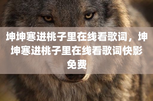坤坤寒进桃子里在线看歌词，坤坤寒进桃子里在线看歌词快影免费