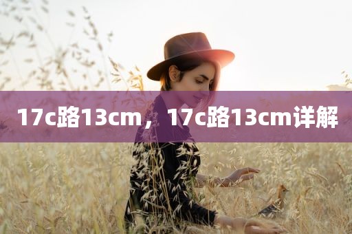 17c路13cm，17c路13cm详解