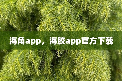 海角app，海胶app官方下载