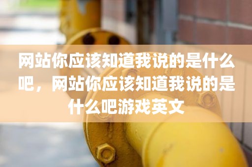 网站你应该知道我说的是什么吧，网站你应该知道我说的是什么吧游戏英文