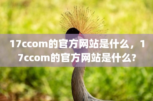 17ccom的官方网站是什么，17ccom的官方网站是什么?