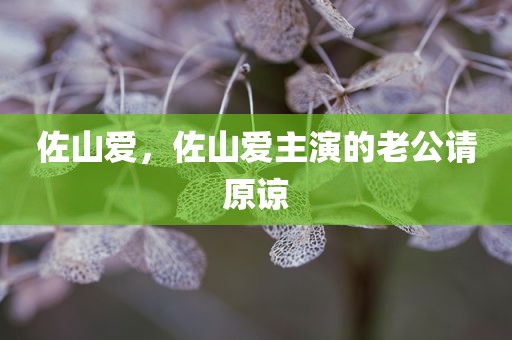 佐山爱，佐山爱主演的老公请原谅