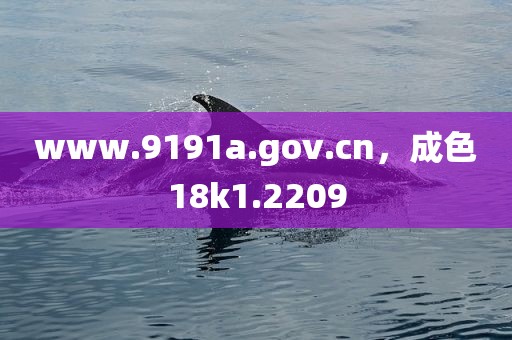 www.9191a.gov.cn，成色18k1.2209