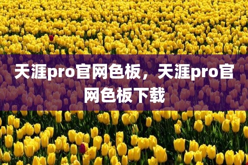 天涯pro官网色板，天涯pro官网色板下载