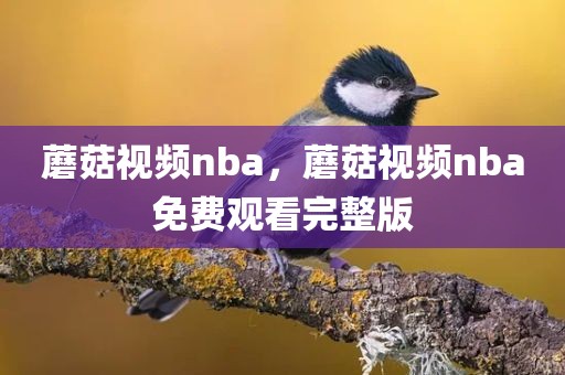 蘑菇视频nba，蘑菇视频nba免费观看完整版