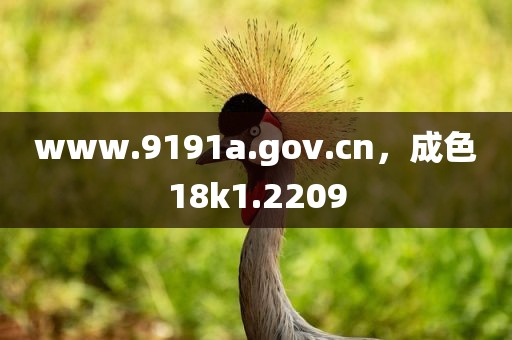 www.9191a.gov.cn，成色18k1.2209