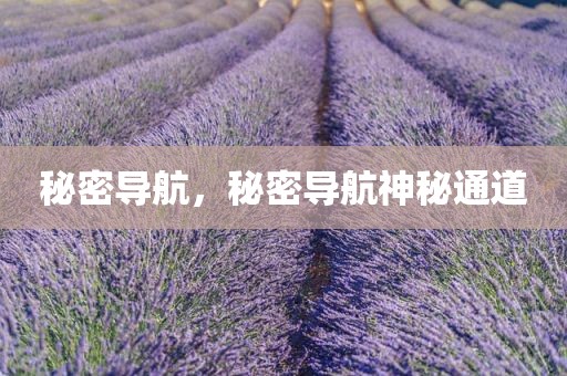 秘密导航，秘密导航神秘通道