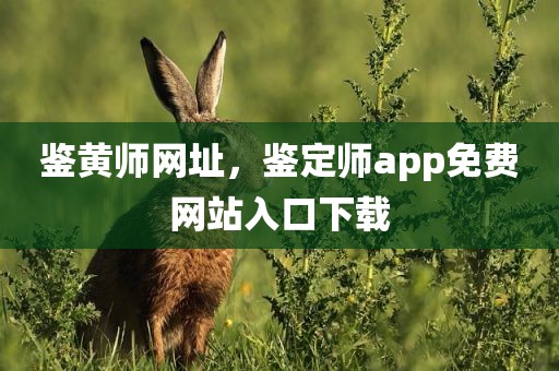 鉴黄师网址，鉴定师app免费网站入口下载