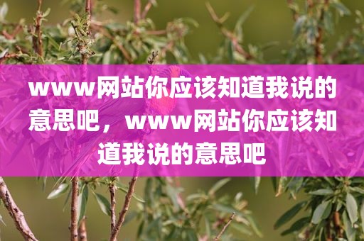 www网站你应该知道我说的意思吧，www网站你应该知道我说的意思吧