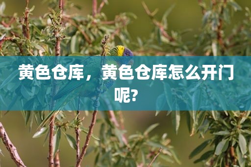 黄色仓库，黄色仓库怎么开门呢?