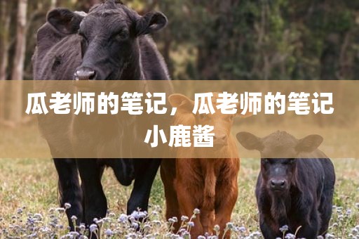 瓜老师的笔记，瓜老师的笔记小鹿酱