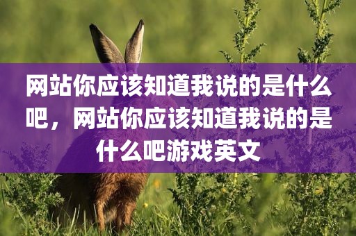 网站你应该知道我说的是什么吧，网站你应该知道我说的是什么吧游戏英文