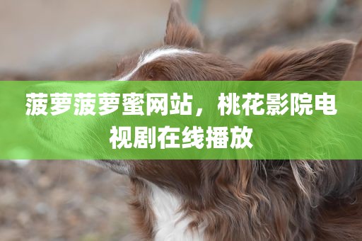 菠萝菠萝蜜网站，桃花影院电视剧在线播放