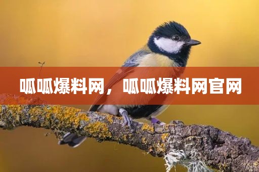 呱呱爆料网，呱呱爆料网官网