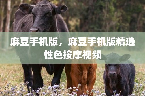 麻豆手机版，麻豆手机版精选性色按摩视频