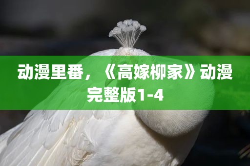 动漫里番，《高嫁柳家》动漫完整版1-4