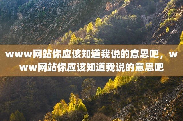 www网站你应该知道我说的意思吧，www网站你应该知道我说的意思吧