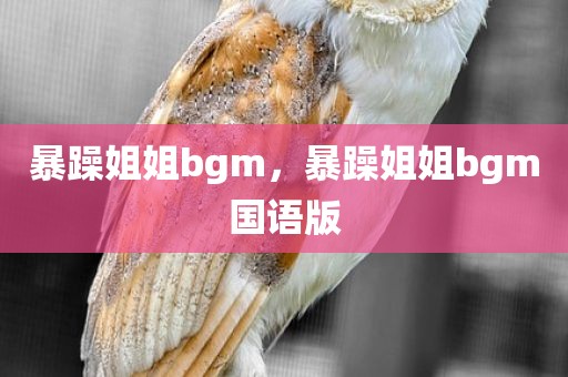 暴躁姐姐bgm，暴躁姐姐bgm国语版