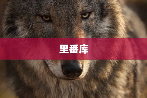 里番库