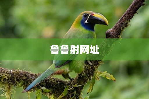 鲁鲁射网址