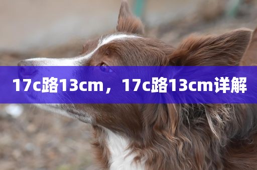 17c路13cm，17c路13cm详解