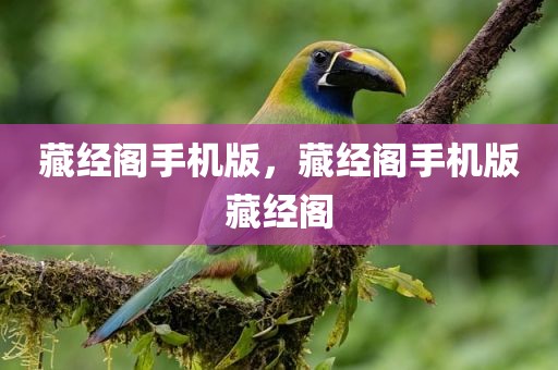 藏经阁手机版，藏经阁手机版藏经阁