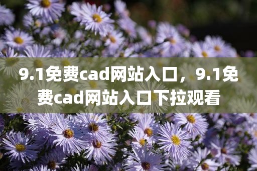 9.1免费cad网站入口，9.1免费cad网站入口下拉观看