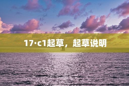17·c1起草，起草说明