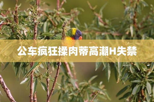 公车疯狂揉肉蒂高潮H失禁