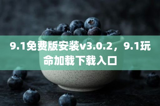 9.1免费版安装v3.0.2，9.1玩命加载下载入口