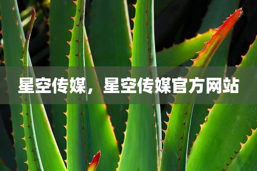 星空传媒，星空传媒官方网站
