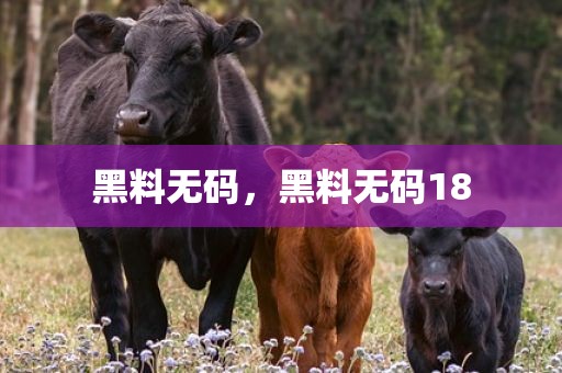 黑料无码，黑料无码18