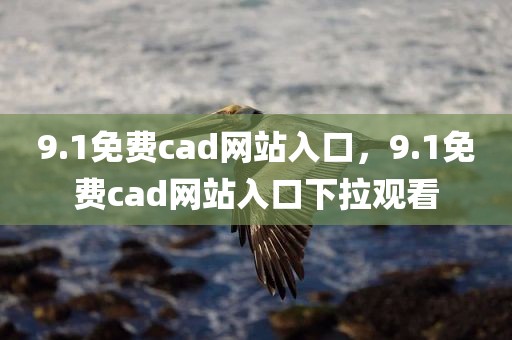 9.1免费cad网站入口，9.1免费cad网站入口下拉观看
