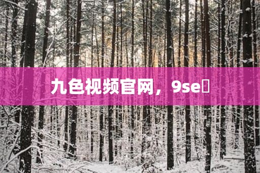 九色视频官网，9se 