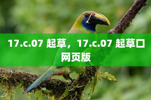 17.c.07 起草，17.c.07 起草口网页版
